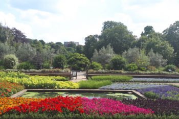 Horniman Garden