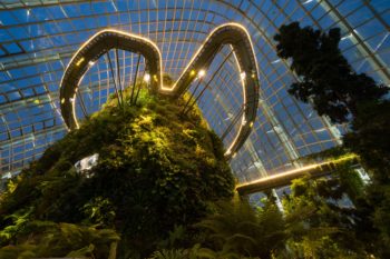 Gardens by the Bay - Cloud Forest