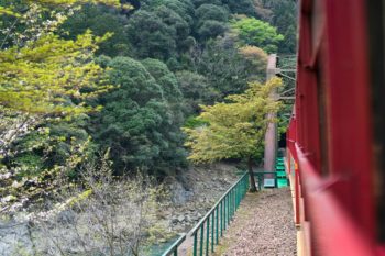 Romantic Train, Kyoto