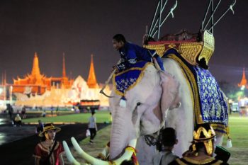 Elefantentag in Bangkok