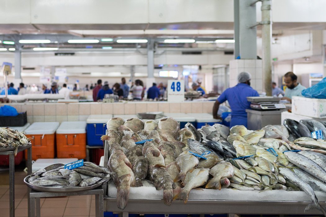 Fischmarkt in Abu Dhabi