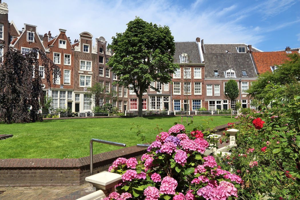 Innenhof mit Wiese und Blumen in Amsterdam