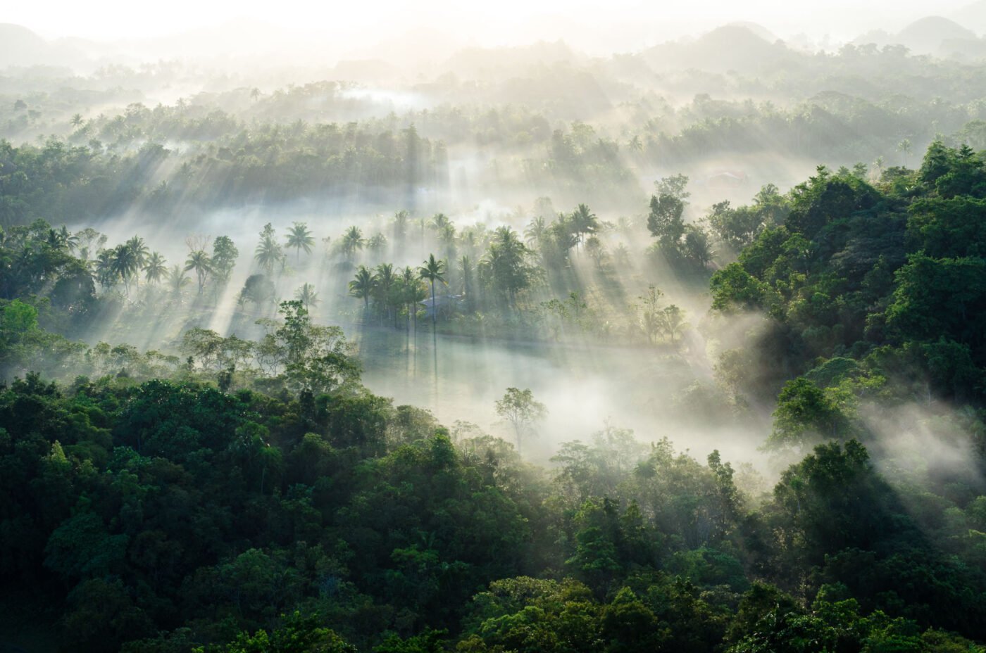 Chocolate Hills auf den Philippinen in Nebel eingehüllt