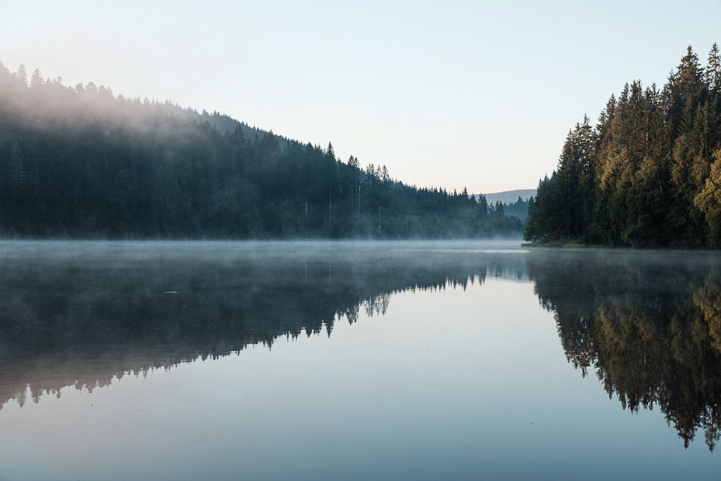 Windgfaellweiher im Schwarzwald, Nebel an einem See mit Wald im Hintergrund