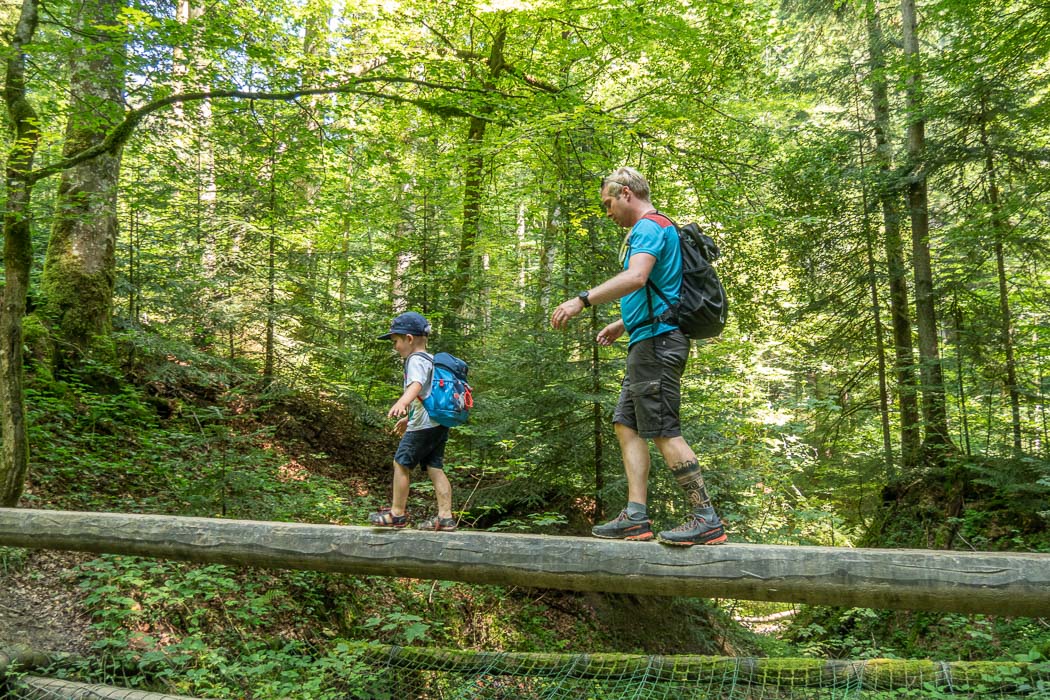 Ein Allgäu-Tipp mit Kindern sind die Scheidegger Wasserfälle