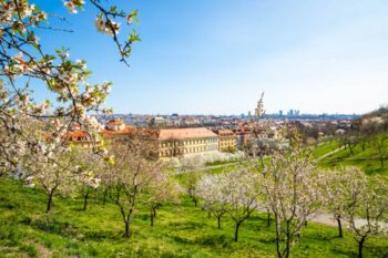 Blick auf Prag vom Petrin Hügel