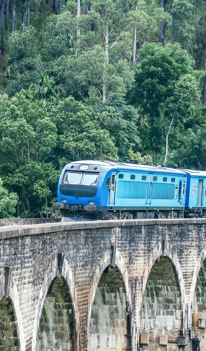 Blauer Zug vor einem Wald in Sri Lanka