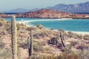 Schöne Naturlandschaft in der Region Baja California