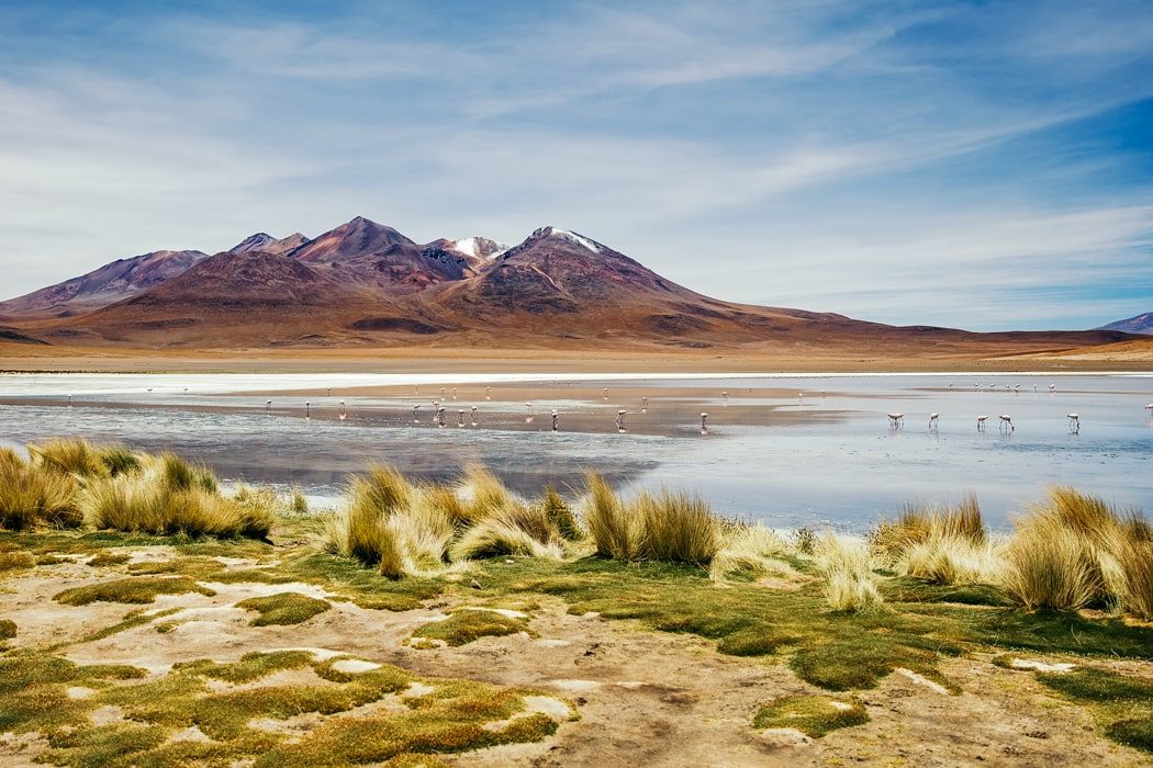 Laguna Colorada mit Flamingos in Bolivien