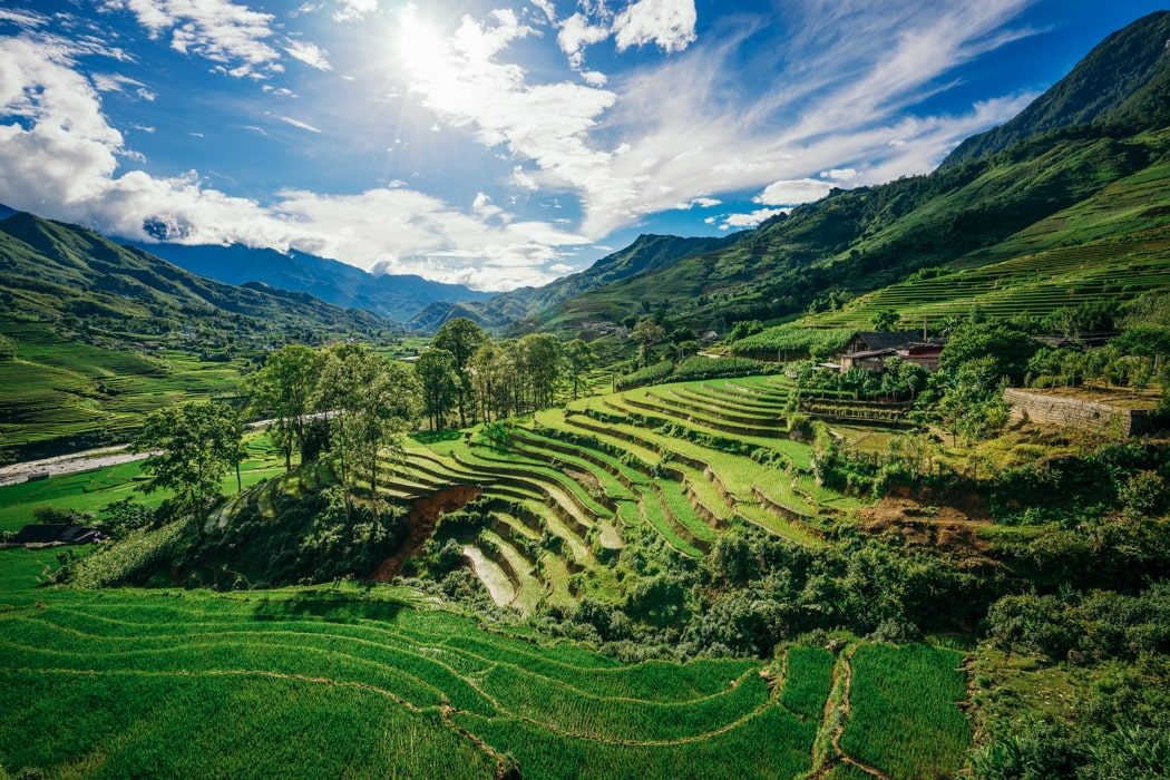 Reisfelder in Sapa in Nordvietnam