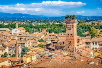Blick auf Lucca und den Guinigi-Turm
