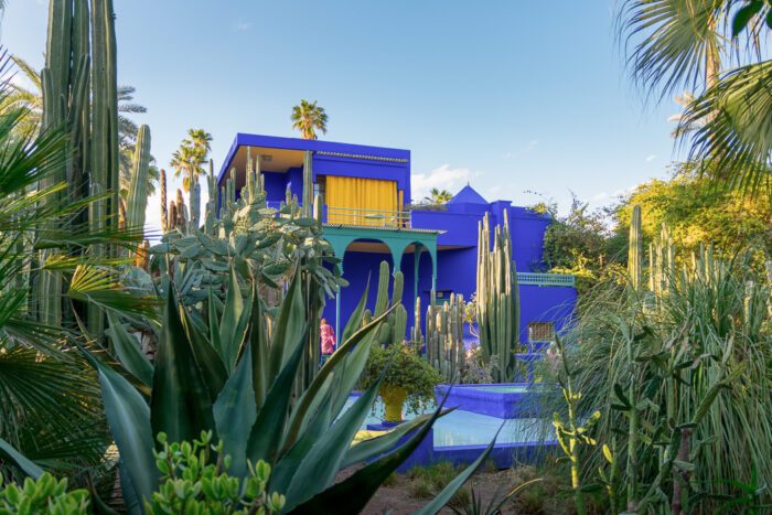 Kaktusse und Sträucher mit blauem Haus im Hintergrund im Jardin Majorelle