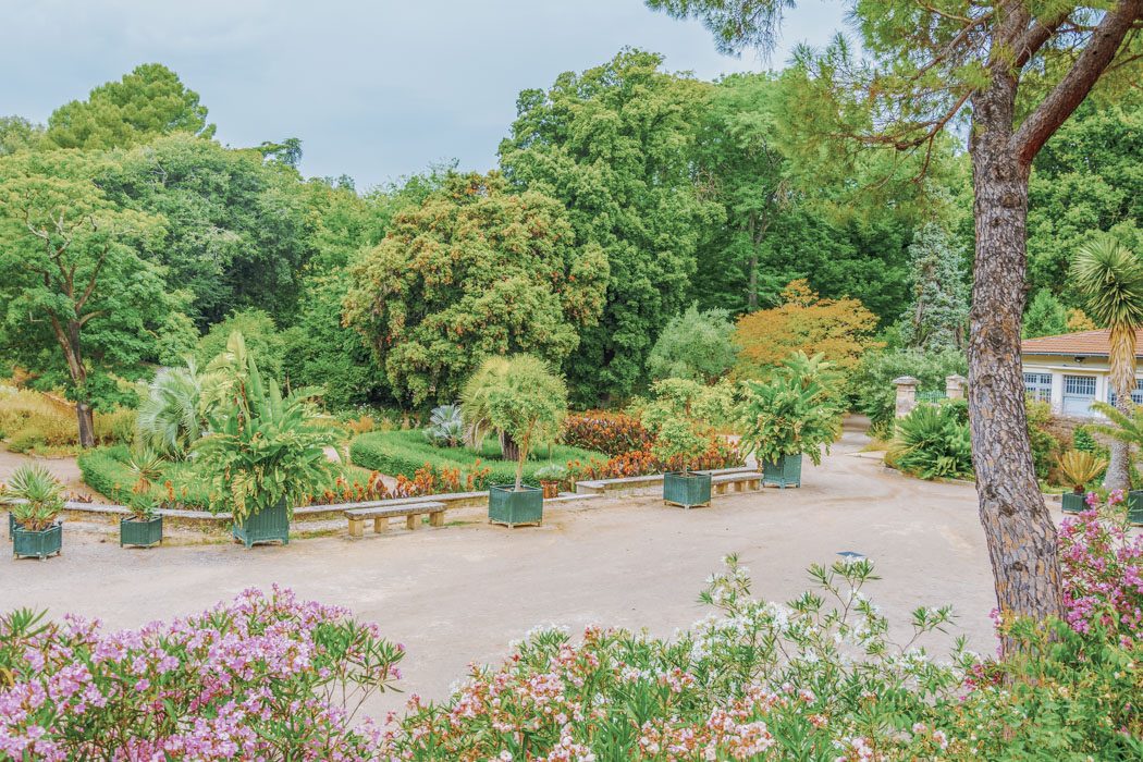 Der Botanische Garten in Montpellier