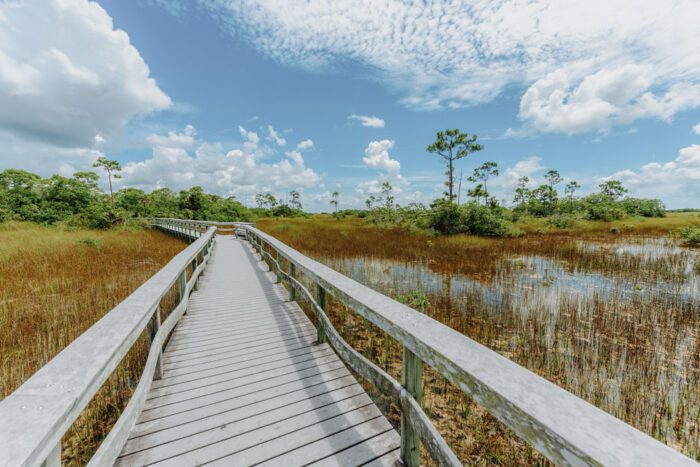 Steg über das Sumpfgebiet der Everglades