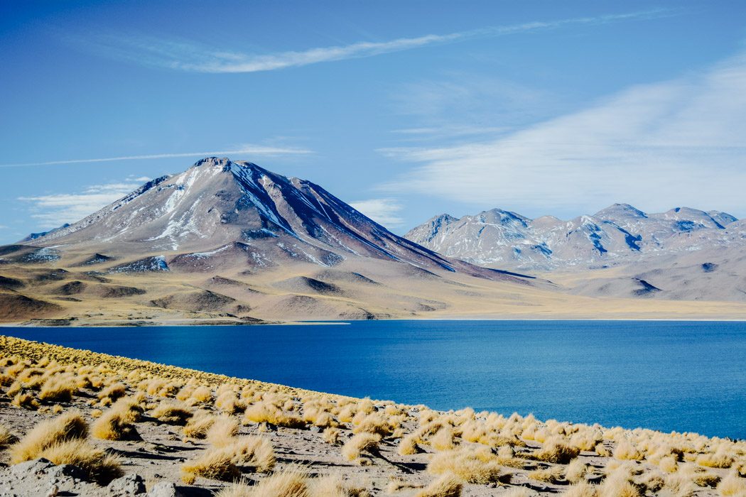 Miscanti Lagune in der Atacama Wüste