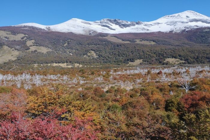 Bunte Farben in Patagonien im Herbst