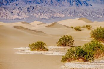 Blick auf die Mesquite Flats Sand Dunes im Death Valley, USA