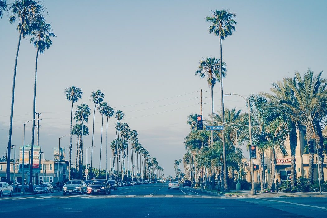 Straße mit Palmen in Los Angeles
