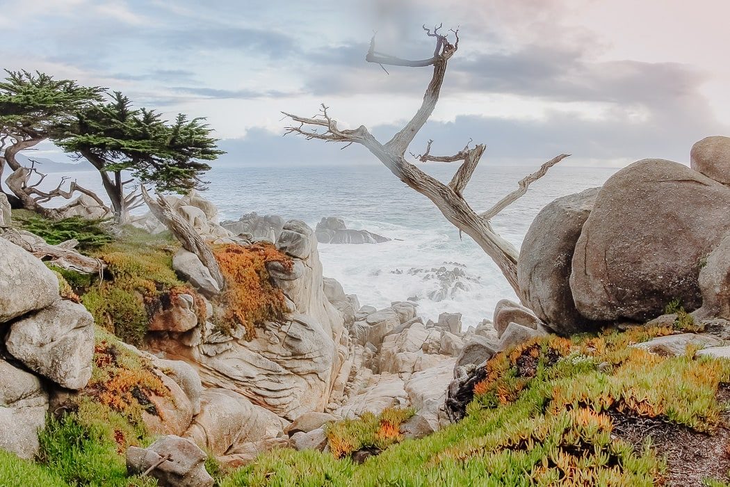 Küste auf der Monterey Halbinsel
