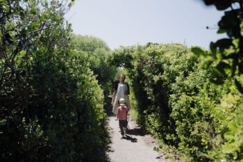 Milkwood Forest Cliff Path