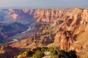 Ausblick auf den Grand Canyon South Rim vom Desert Point