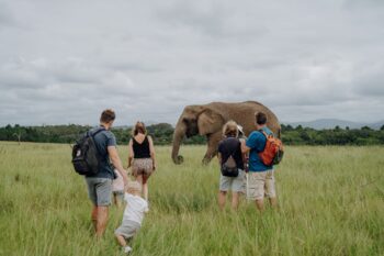 Knysna Elephant Park mit Kindern