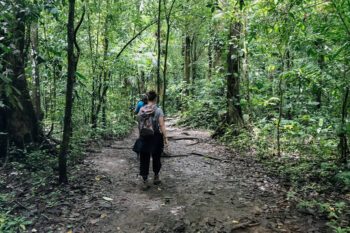Wanderweg im Nationalpark Corcovado in Costa Rica