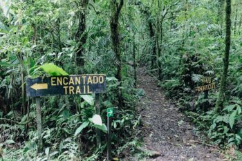 Weg im Santa Elena Reservat in Costa Rica