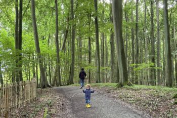 Kind auf Wanderweg im Wald