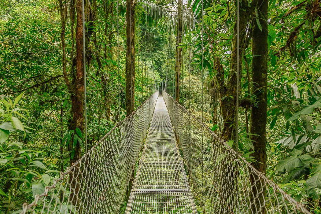 Hängebrücken im Mistico Park im Vulkan Arenal Nationalpark Costa Rica