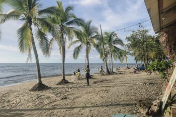 Strand mit Palmen in Puerto Viejo