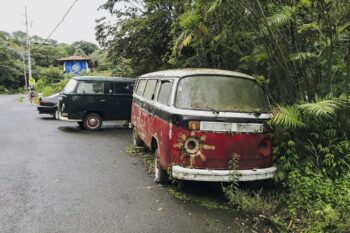 Alte VW-Busse in Santa Elena in Costa Rica