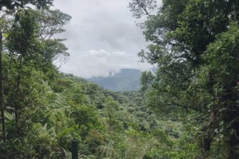 Aussucht auf das Santa Elena Reservat in Costa Rica