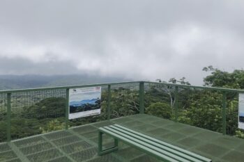 Aussichtsplattform im Santa Elena Reservat in Costa Rica
