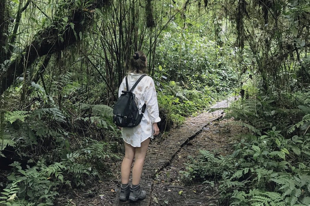 Eine Frau wandert durch das Santa Elena Rexservat in Costa Rica