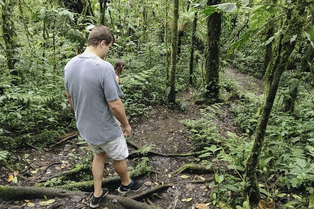 Ein Mann wandert durch das Santa Elena Reservat in Costa Rica
