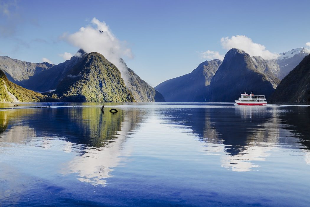 Blick auf die Fjorde im Milford Sound, Neuseeland