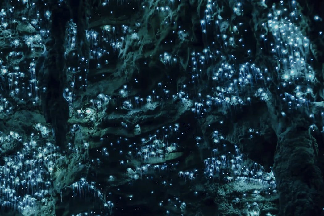 Lichter in den Waitomo Glowworm caves in Neuseeland