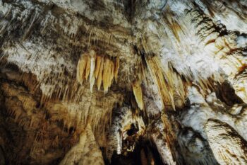 Stalagtiten in den Waitomo Caves in Neuseeland