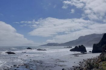 Ausblick auf die Westküste von Neuseelands Südinsel