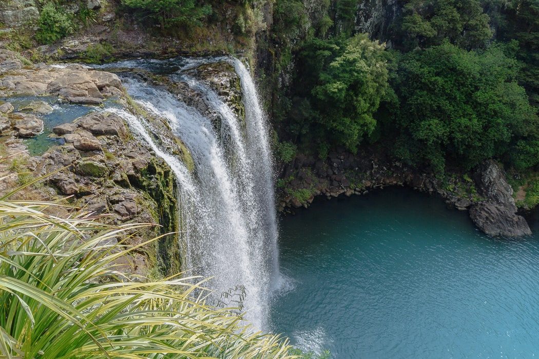 Whangarei Falls im Northland von Neuseeland