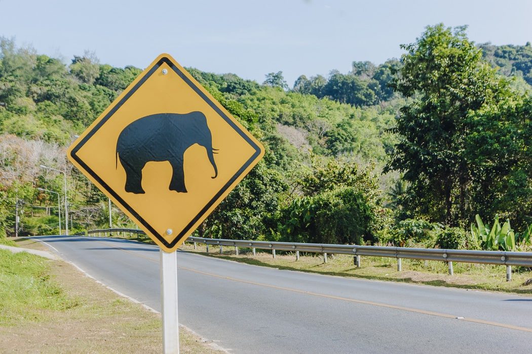 Verkehrsschild "Vorsicht Elefanten"