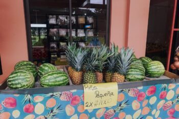Ananas und Melonen auf einem Stand in Costa Rica