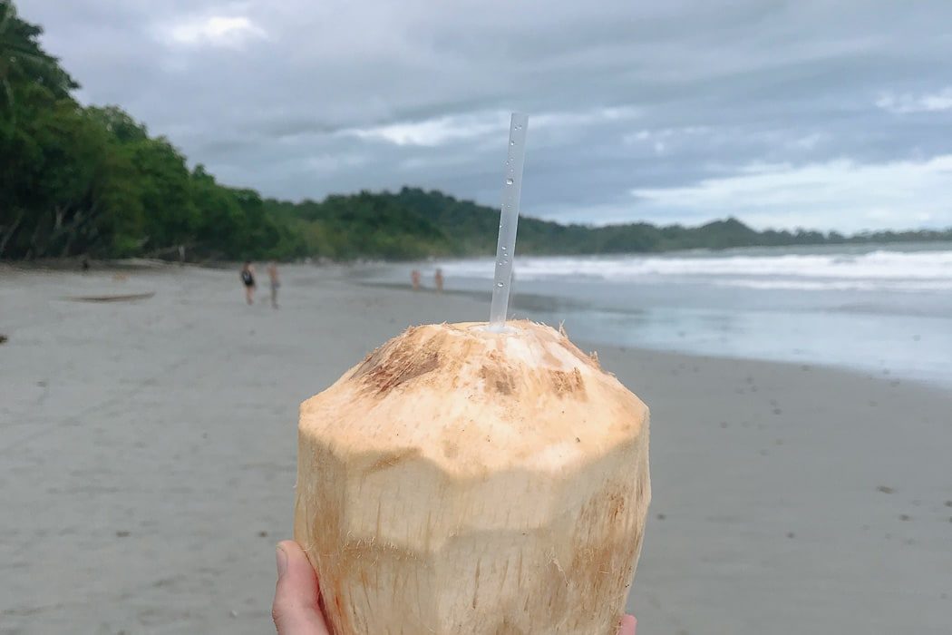 Eine Kokosnuss am Strand in Costa Rica