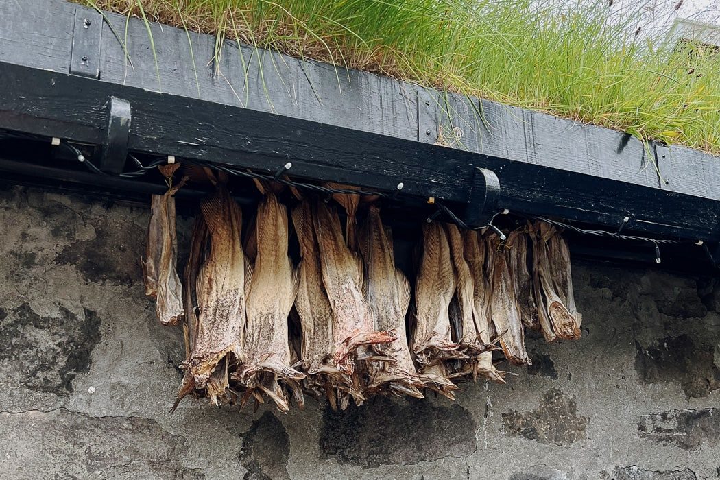 Trockener Fisch hängt an einem Haus auf den Färöer Inseln