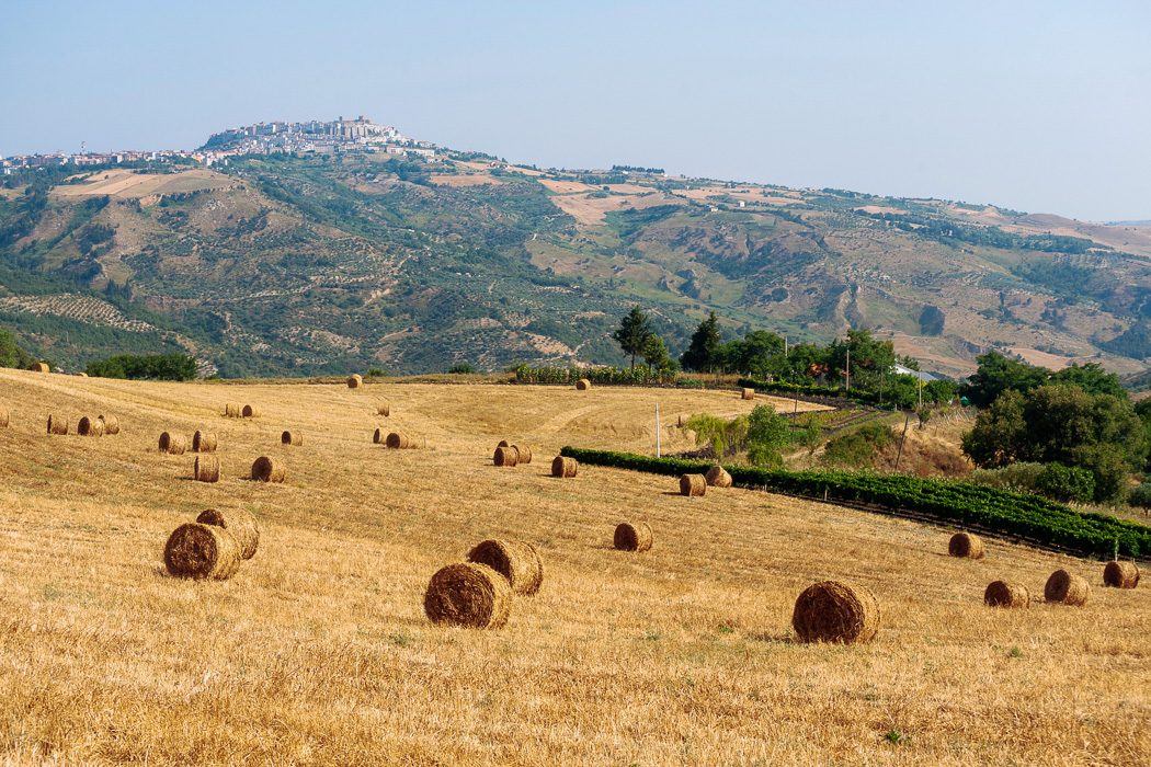 Blick auf Feld mit Strohballen und Dorf auf einem Hügel im Hintergrund