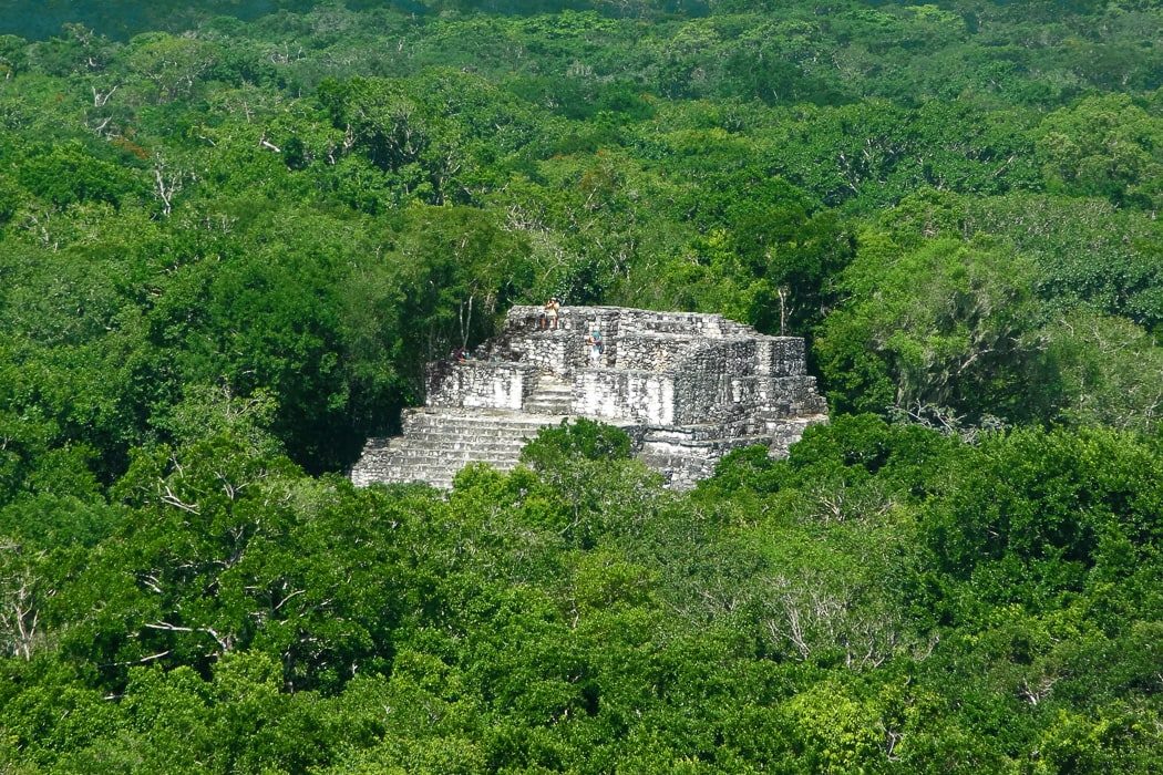 Maya Tempel Calakmul im Dschungel