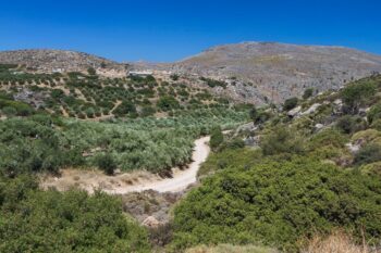 Auch im Süden Kreta findest du Schluchten
