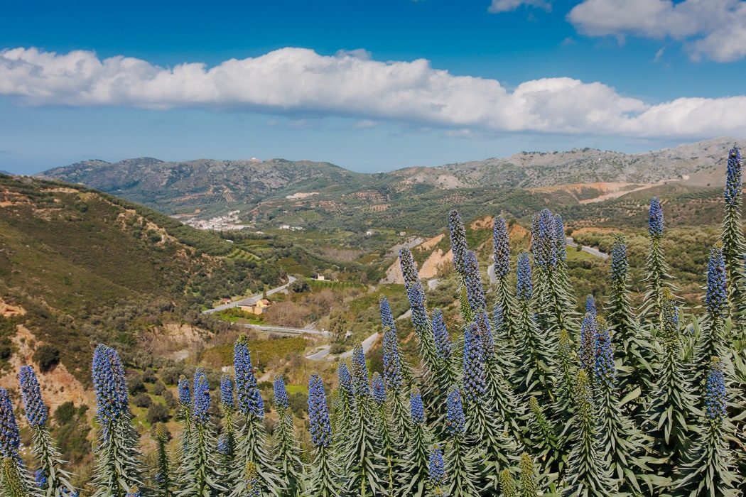 Aussicht vom botanischen Garten auf Kreta