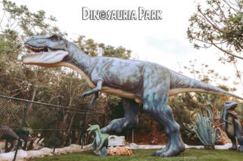 Ein Dono im Dinosauria Park auf Kreta